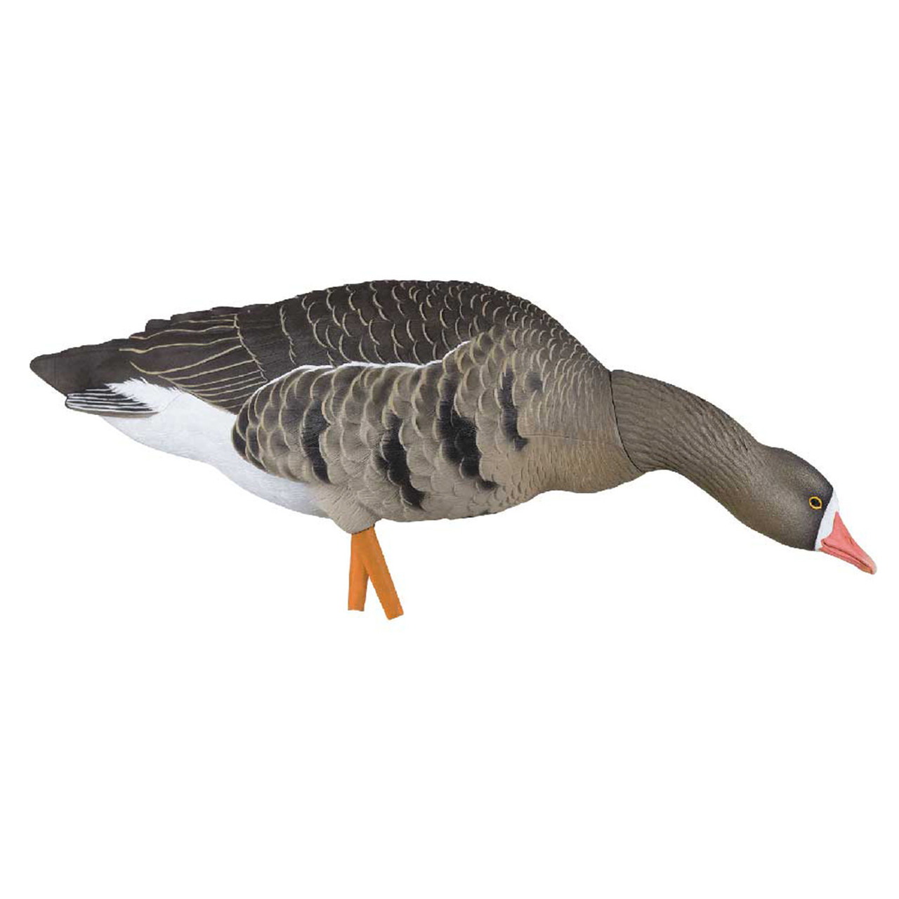 Avian-X AXP Specklebelly Decoy - Thumbnail 3