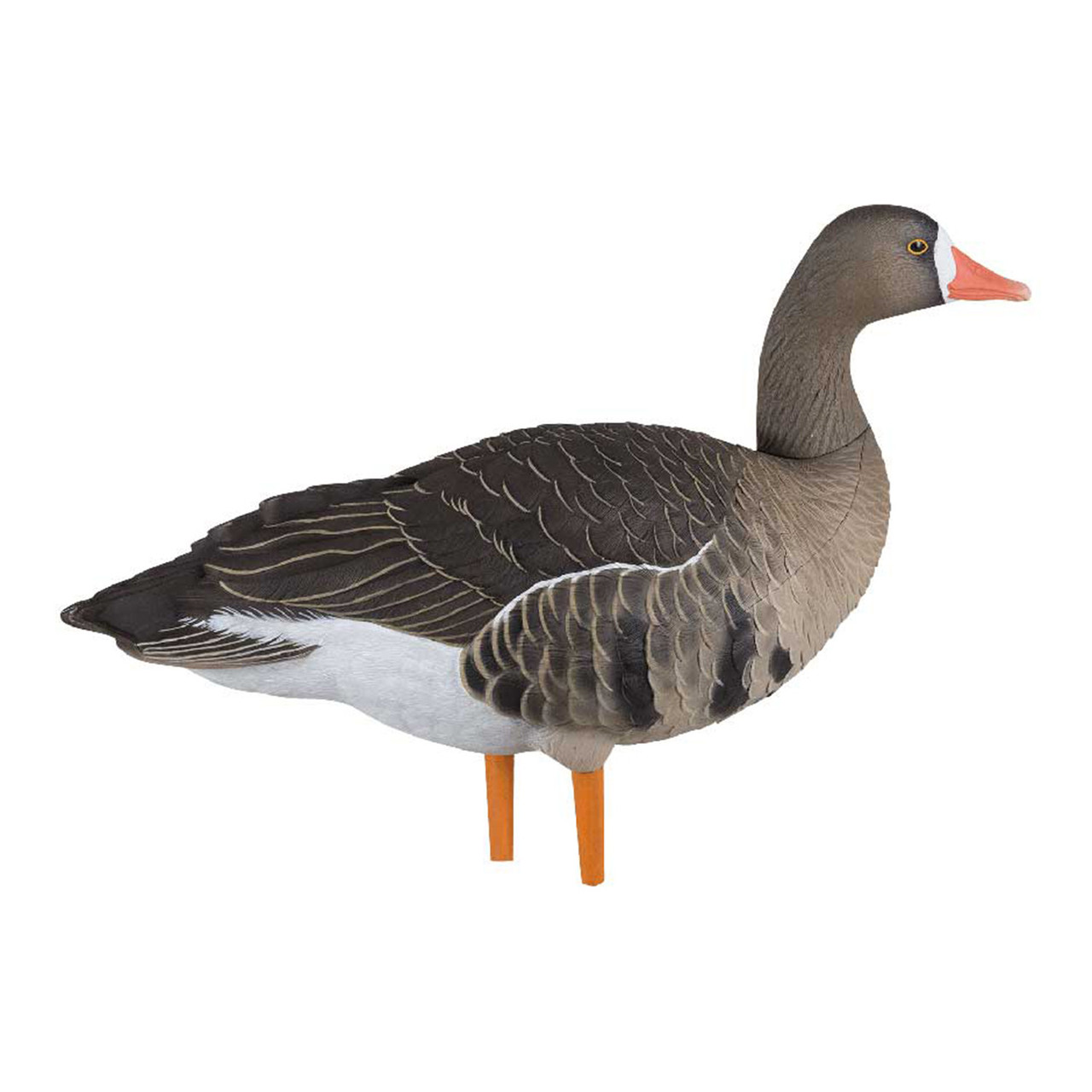 Avian-X AXP Specklebelly Decoy