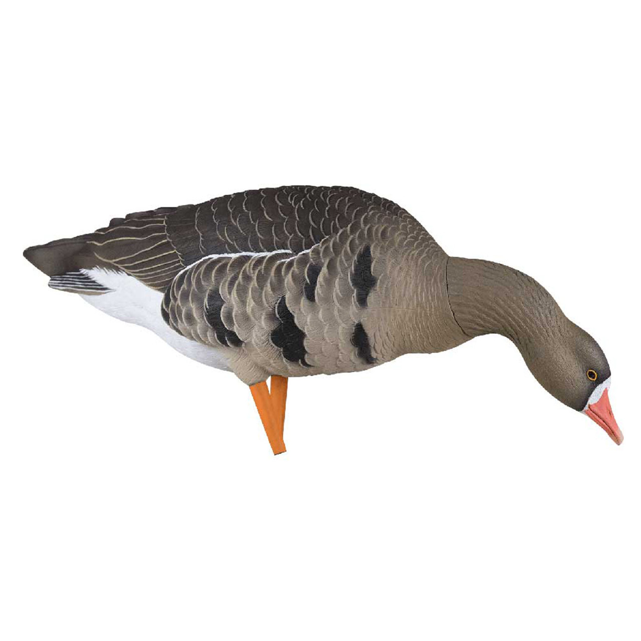 Avian-X AXP Specklebelly Decoy - Thumbnail 4