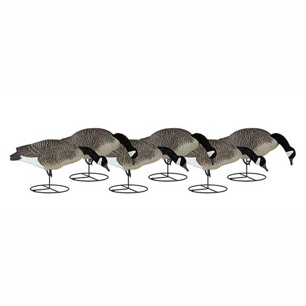 Dakota Decoy Fully Flocked 19300 Signature Series Feeder Geese Rogers
