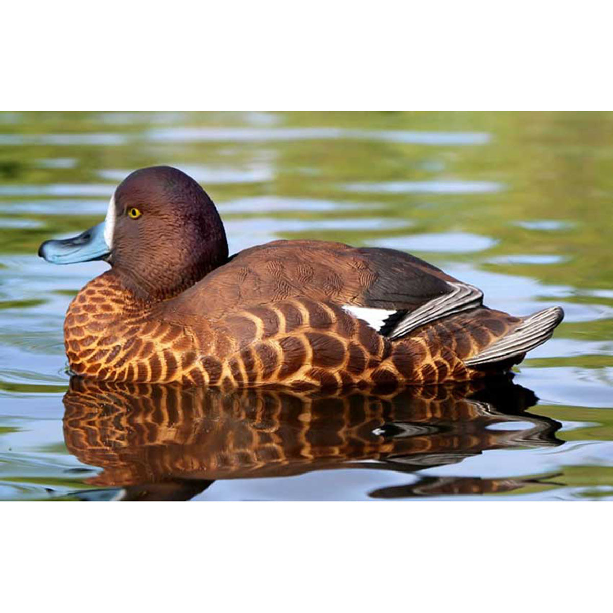 Dakota Decoy X-Treme Bluebill Decoys, 6 Pack | Rogers Sporting Goods