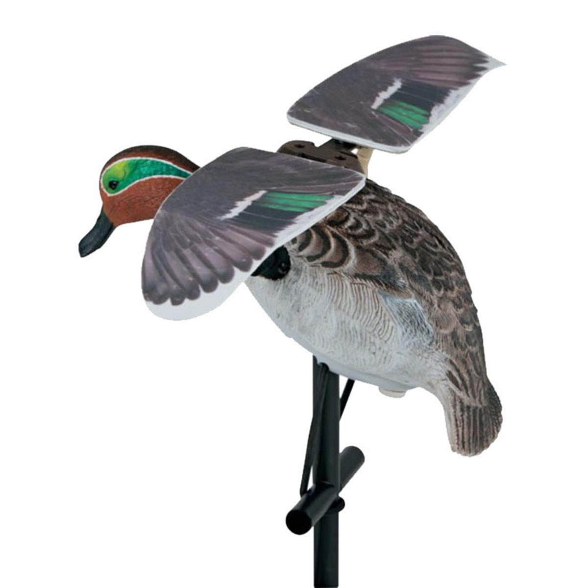 Lucky Duck 10916-8 Lucky Flapper Teal HD Decoy | Rogers Sporting Goods