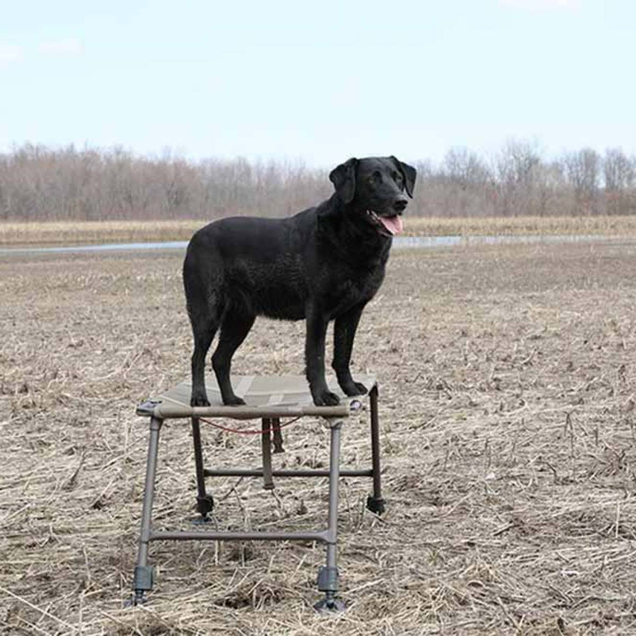 DIY duck blind dog stand