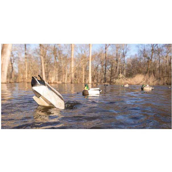 Perfect Limit Outdoors Designated Puller "DP" Automatic Jerk Rig - Model 1  PLO-DPM1 | Rogers Sporting Goods