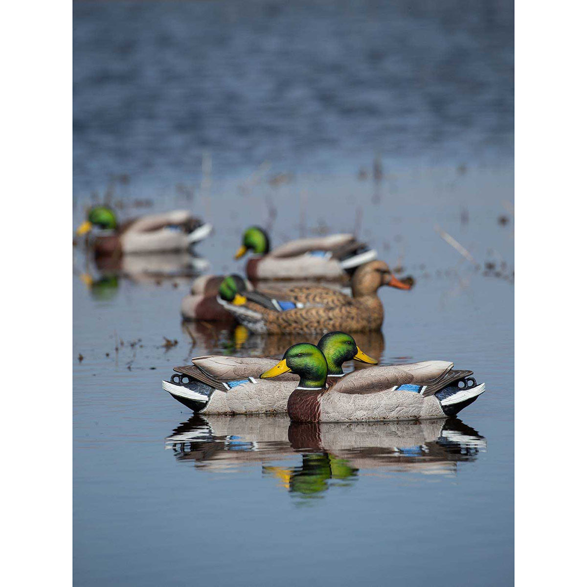 GHG Pro-Grade XD Series Mallards Harvesters 12 Pack | Rogers