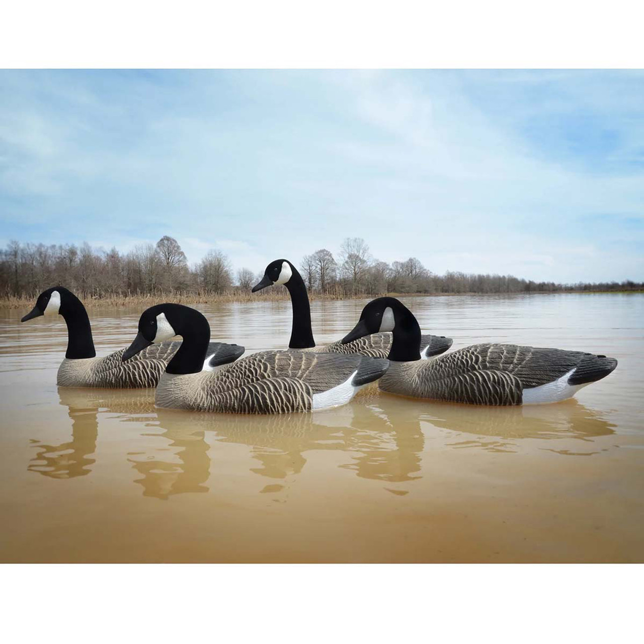 Canada goose sales fill weight