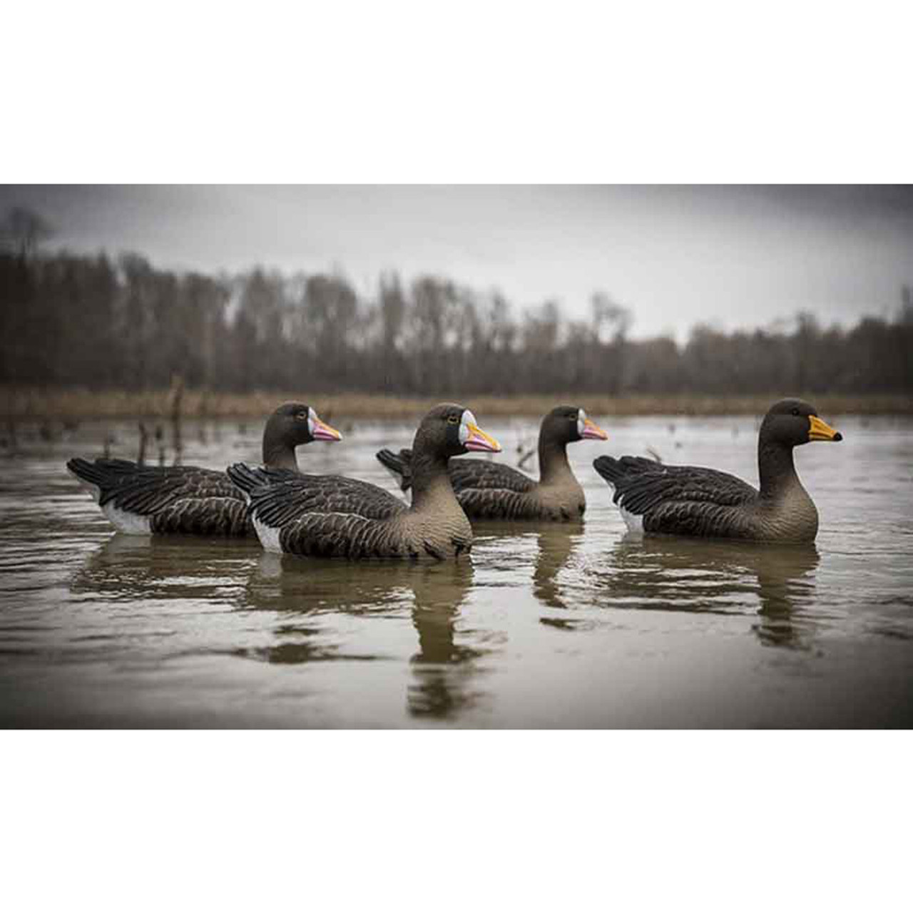 Magnum Goose Butt-Speck – Higdon Outdoors