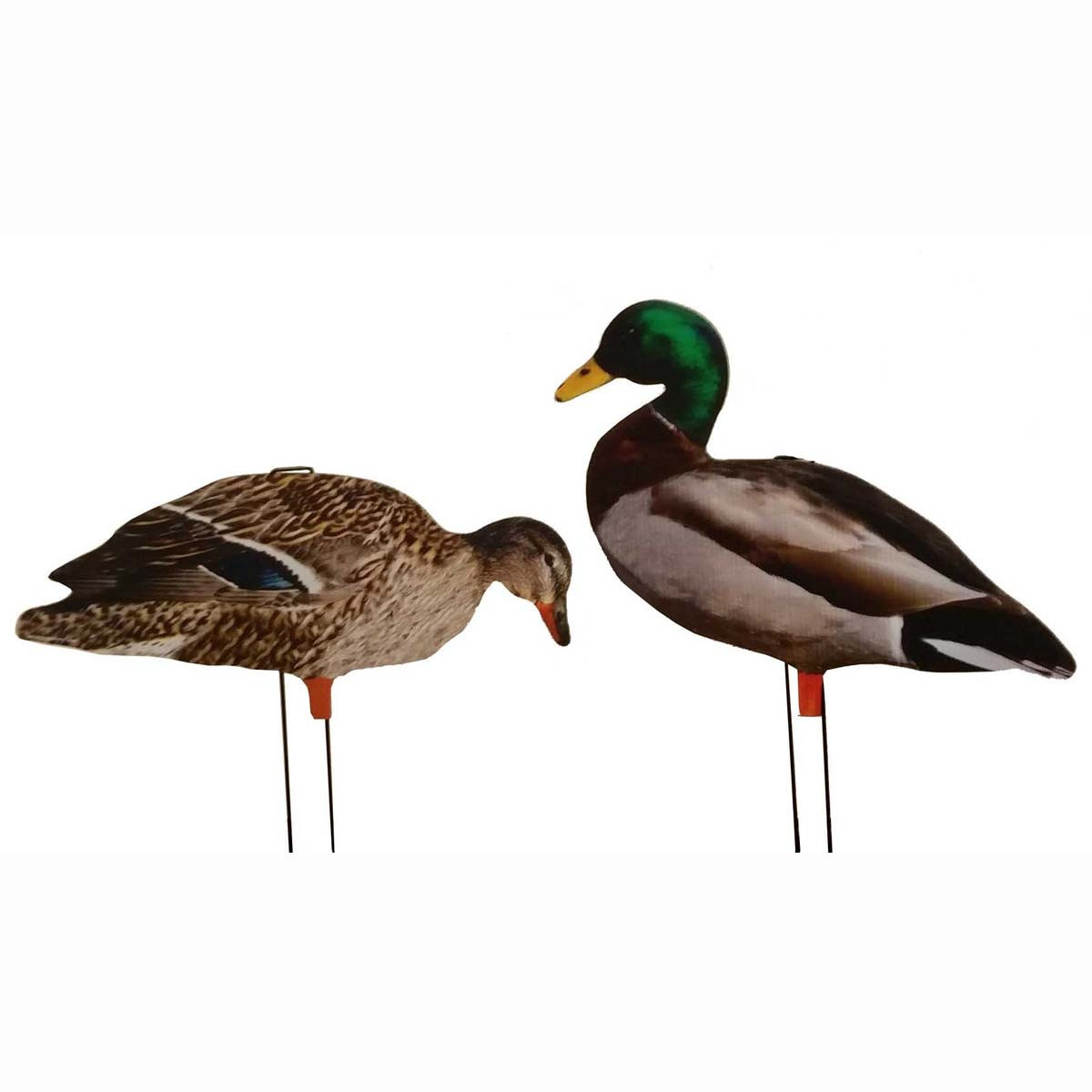 yzhlly　Mallard Big Al's Decoys Life Like Mallard Duck Silhouette Decoy, 12 Pack