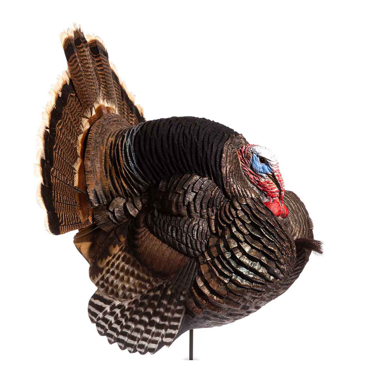 Dave Smith Decoys Jake Strutter Turkey Decoy
