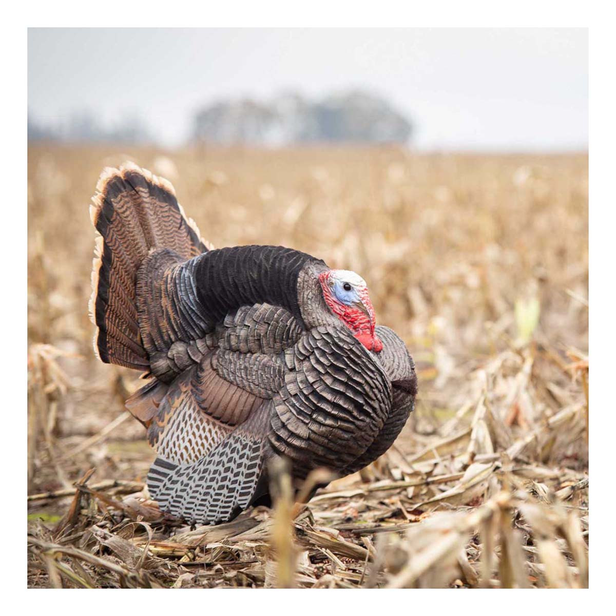 Dave Smith Decoys Jake Strutter | Rogers Sporting Goods