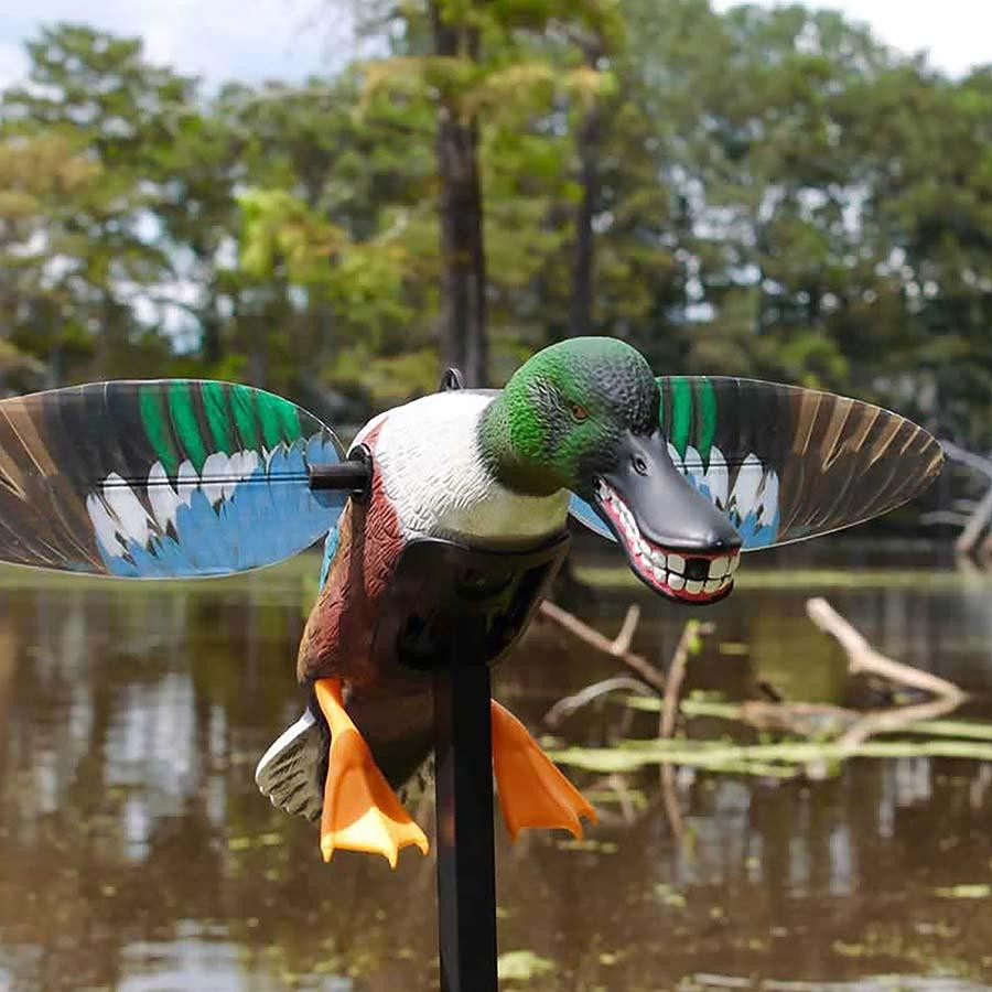 MOJO Spoonzilla Shoveler Spinning Wing Duck Decoy | Rogers