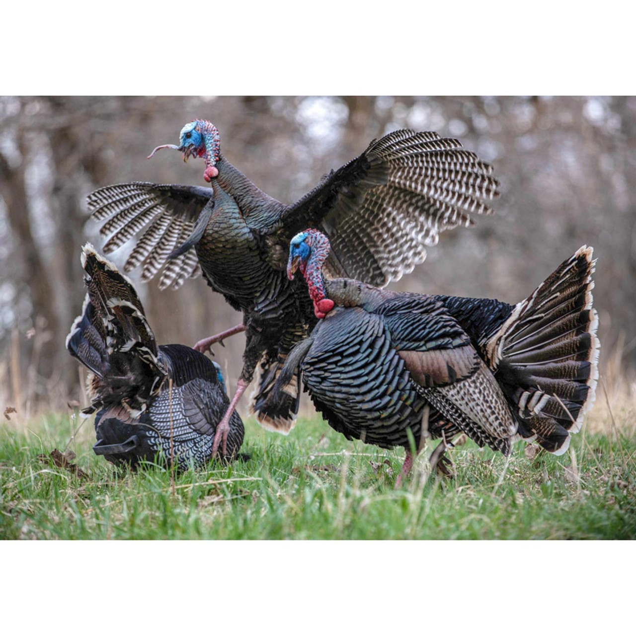 WILD TURKEY OUTDOOR SET 特級表記 Wild Turkey Freedom (2002 DFS Exclusive) – Rare Bird 101
