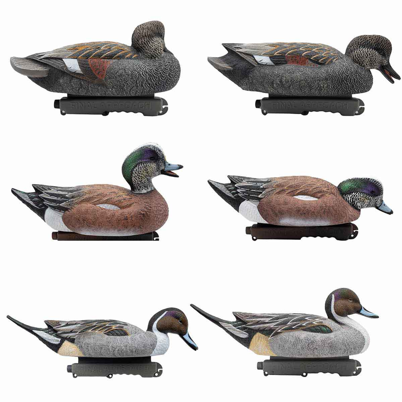 FA Live Bonus Duck Pack, 6 Pack | Rogers Sporting Goods