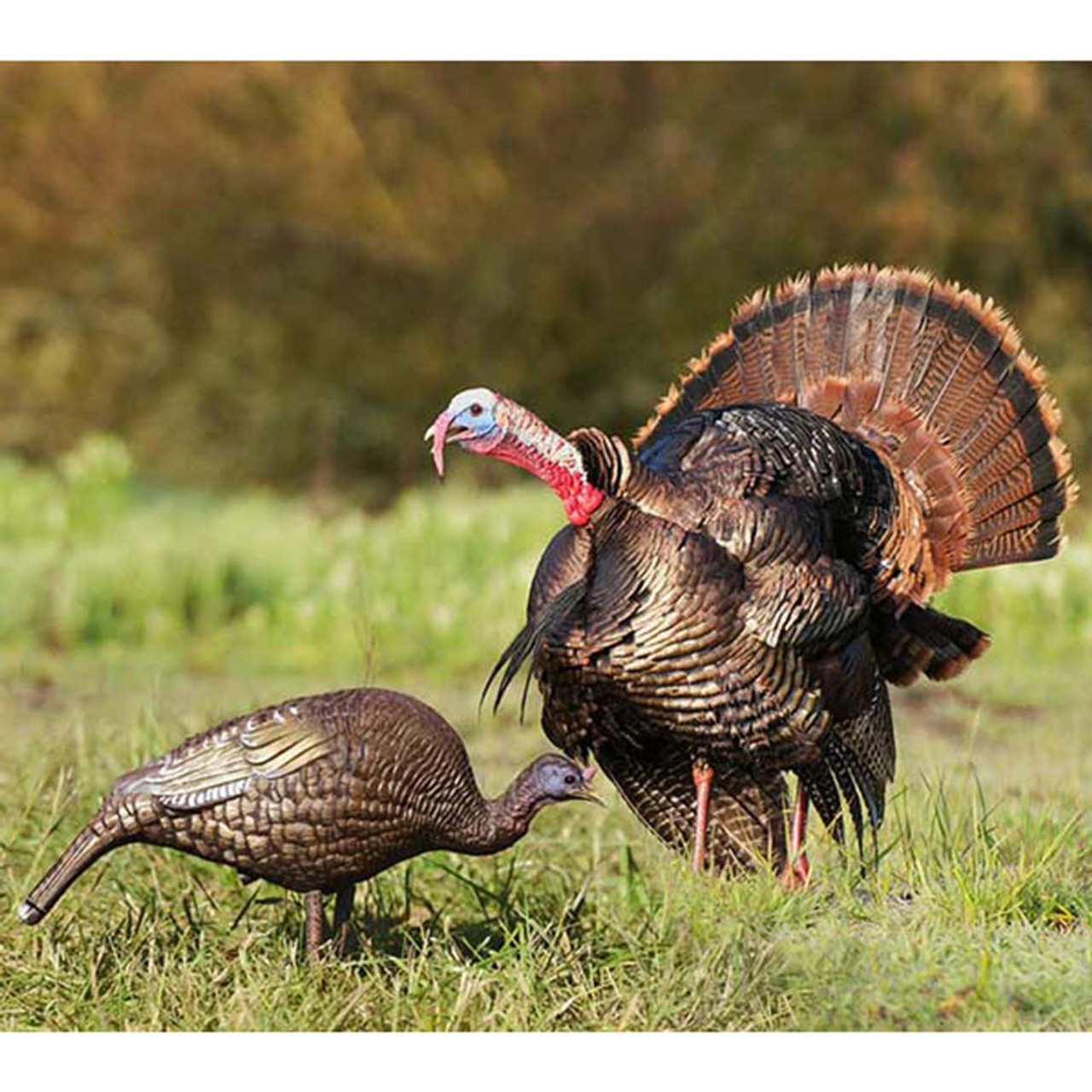 Higdon Outdoors Hard Body Feeder Hen Turkey Decoy