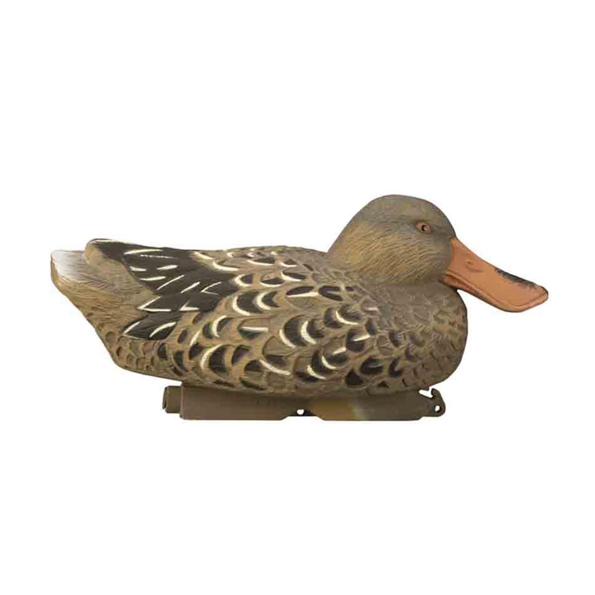 Higdon Standard Shoveler Foam Filled Decoys, 6 Pack Rogers Sporting Goods