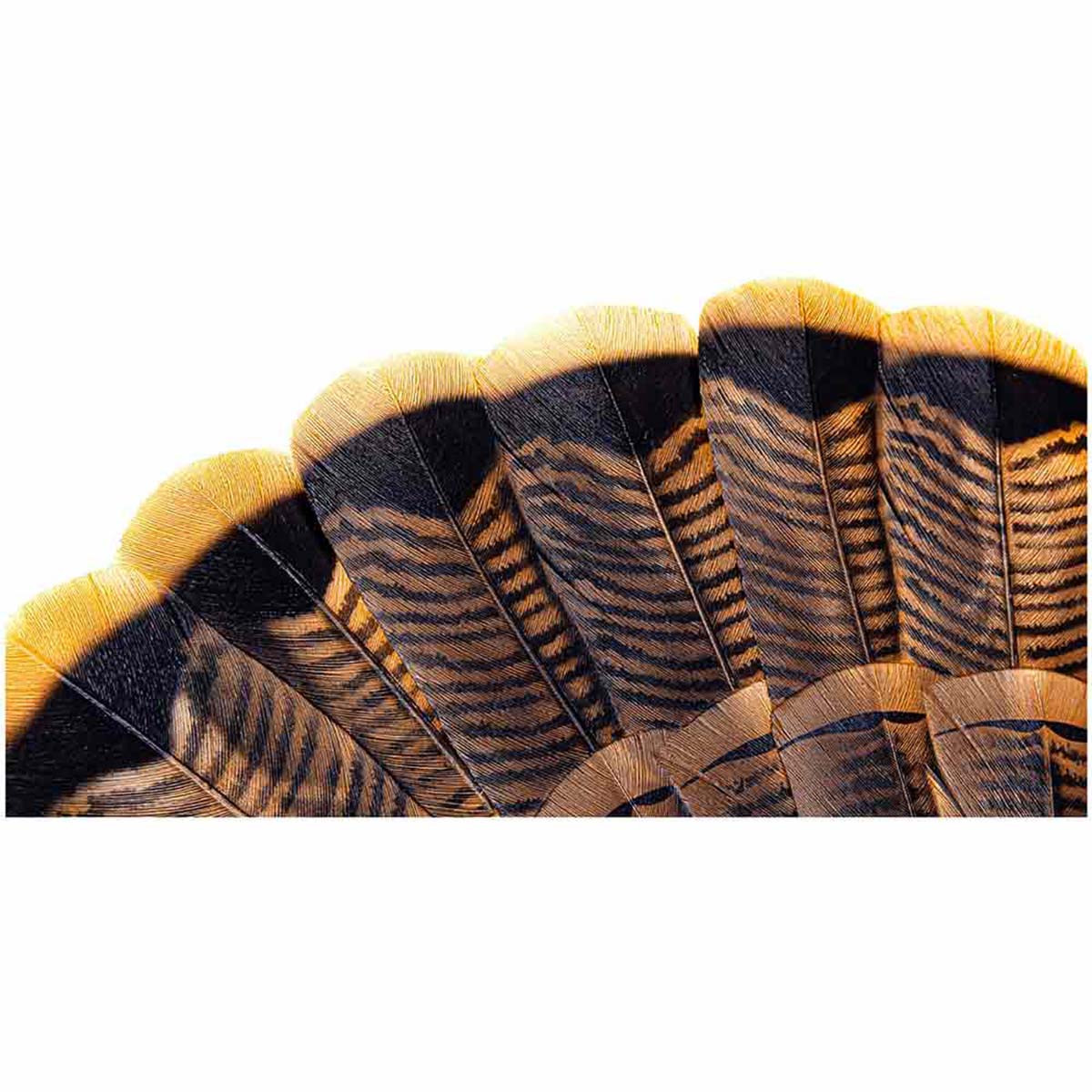 パーツ avian parus 130mm 360mm 262g Avian-X HDR Strutter Turkey Decoy | Rogers Sporting Goods