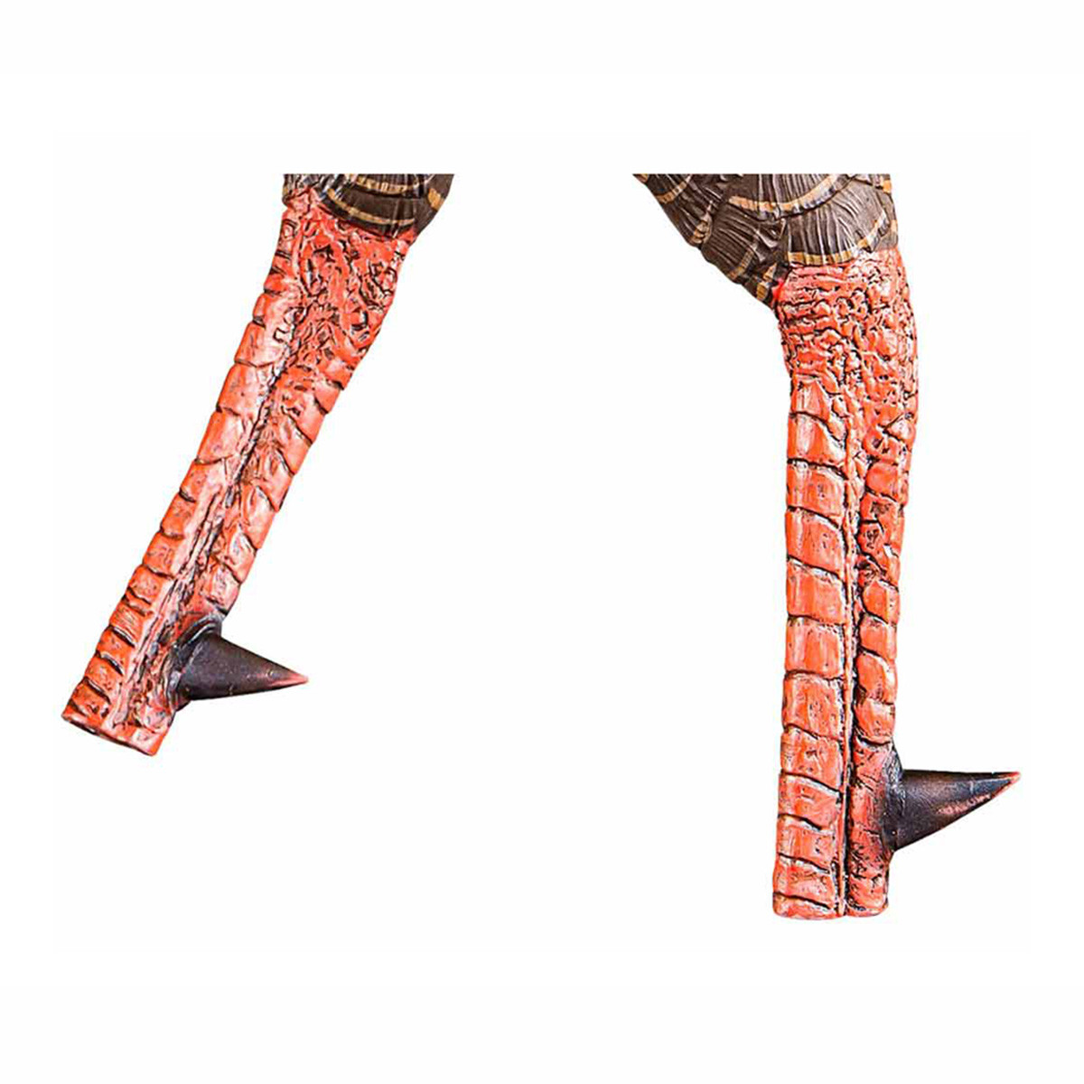 Avian-X HDR Strutter Turkey Decoy | Rogers Sporting Goods