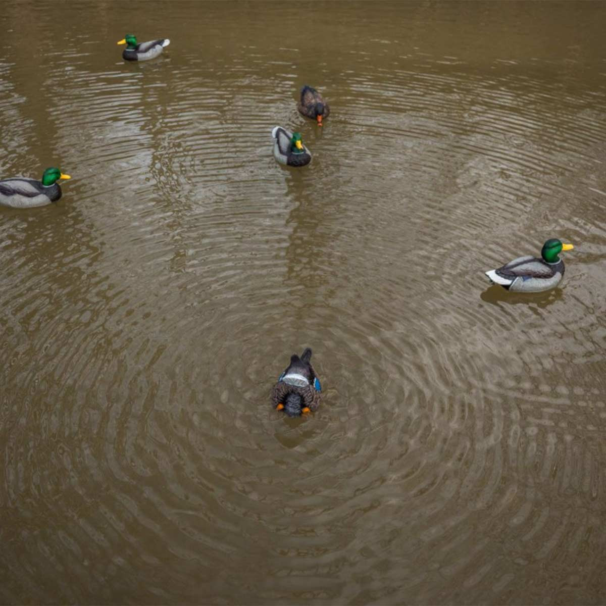 Lucky Duck Quiver Hen Decoy - Thumbnail 4