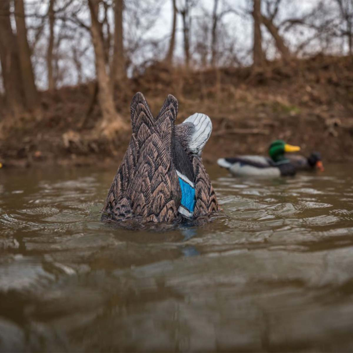 Lucky Duck Quiver Hen Decoy - Thumbnail 3