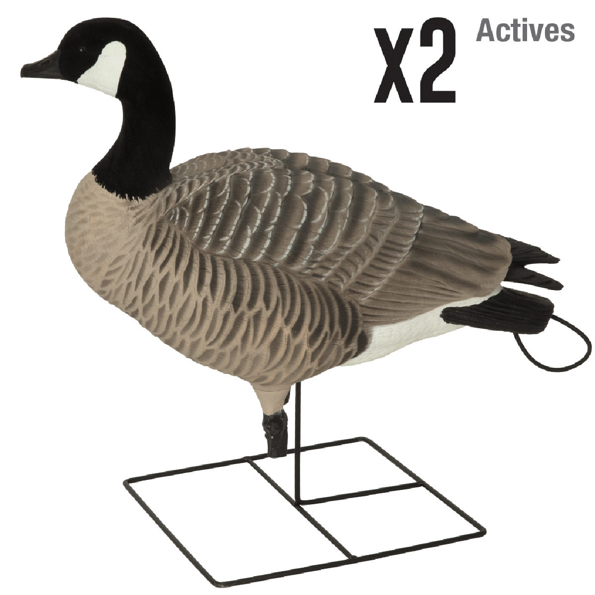 GHG XD Series FullBody Honkers Active 4 Pack Rogers Sporting Goods