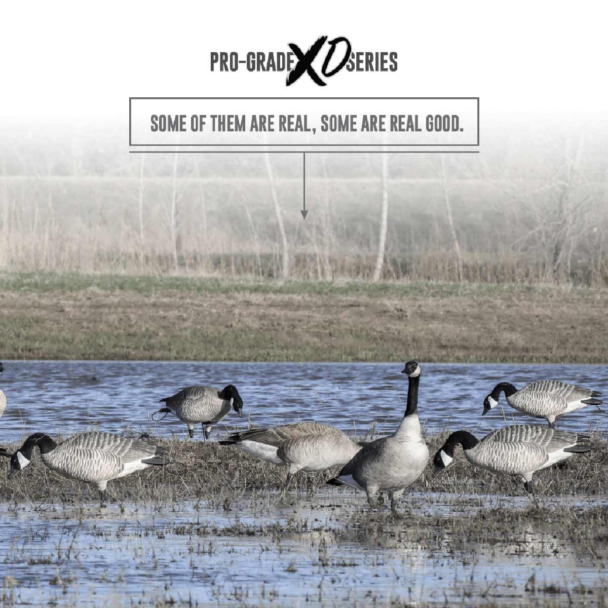 GHG XD Series Full-Body Honkers | Rogers Sporting Goods