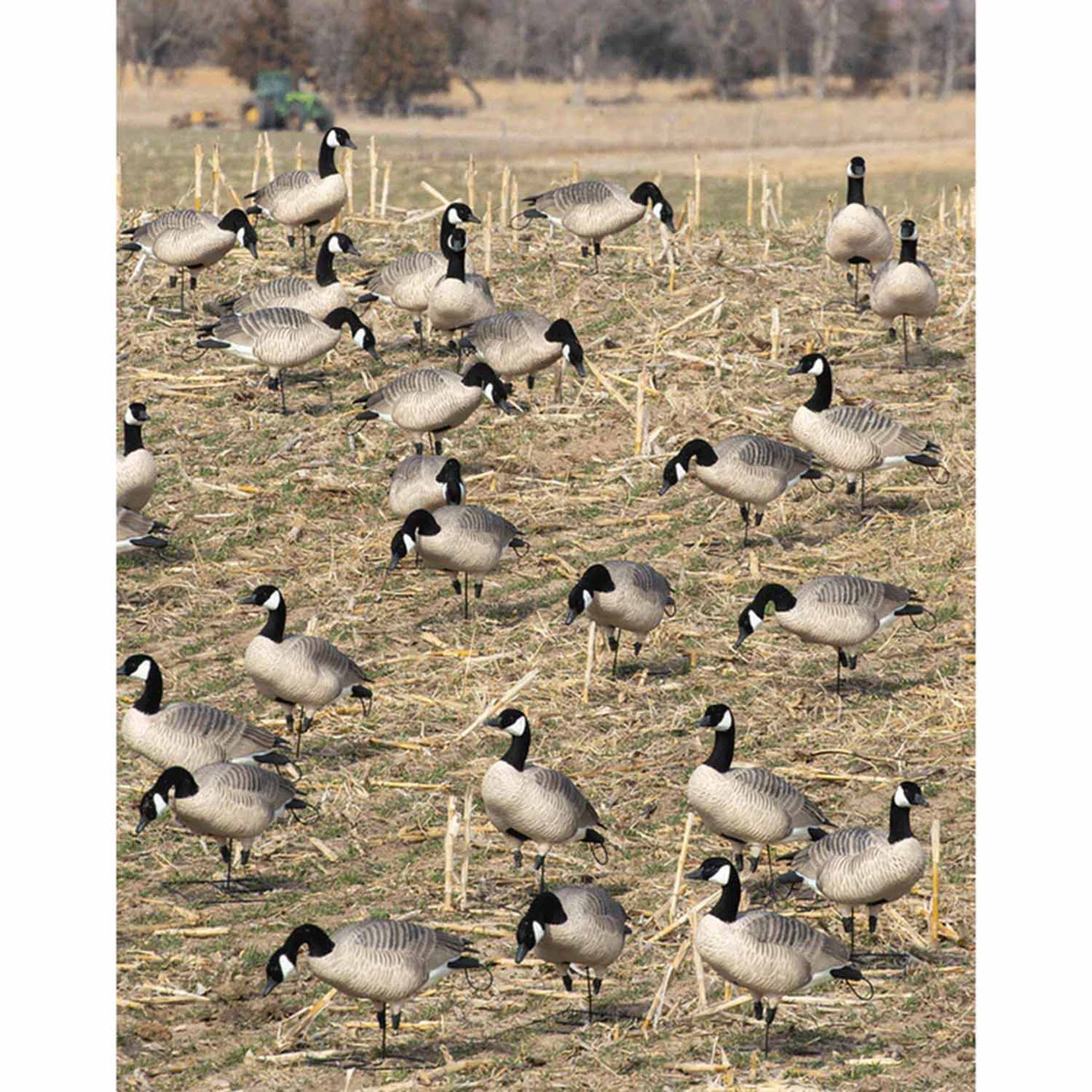 GHG Decoy Systems Pro Grade XD Harvester Canada Goose Decoys - Thumbnail 2