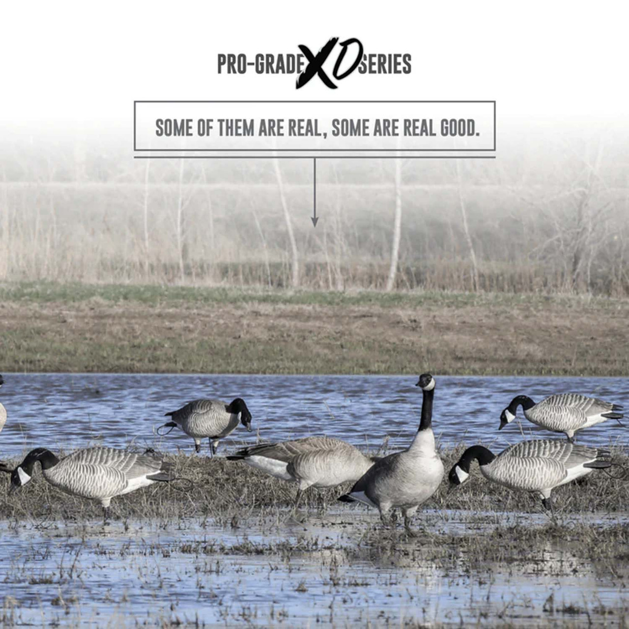 GHG Decoy Systems Pro Grade XD Harvester Canada Goose Decoys - Thumbnail 3