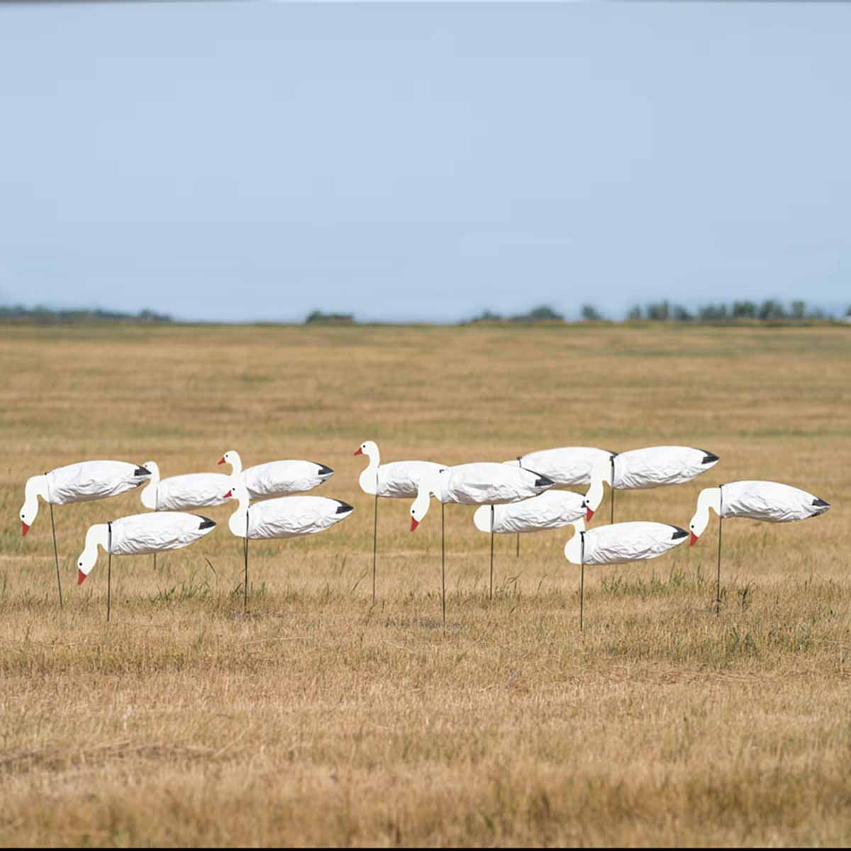 GHG Pro Grade Headed Snow Goose Sock Decoys Pack of 12 Rogers