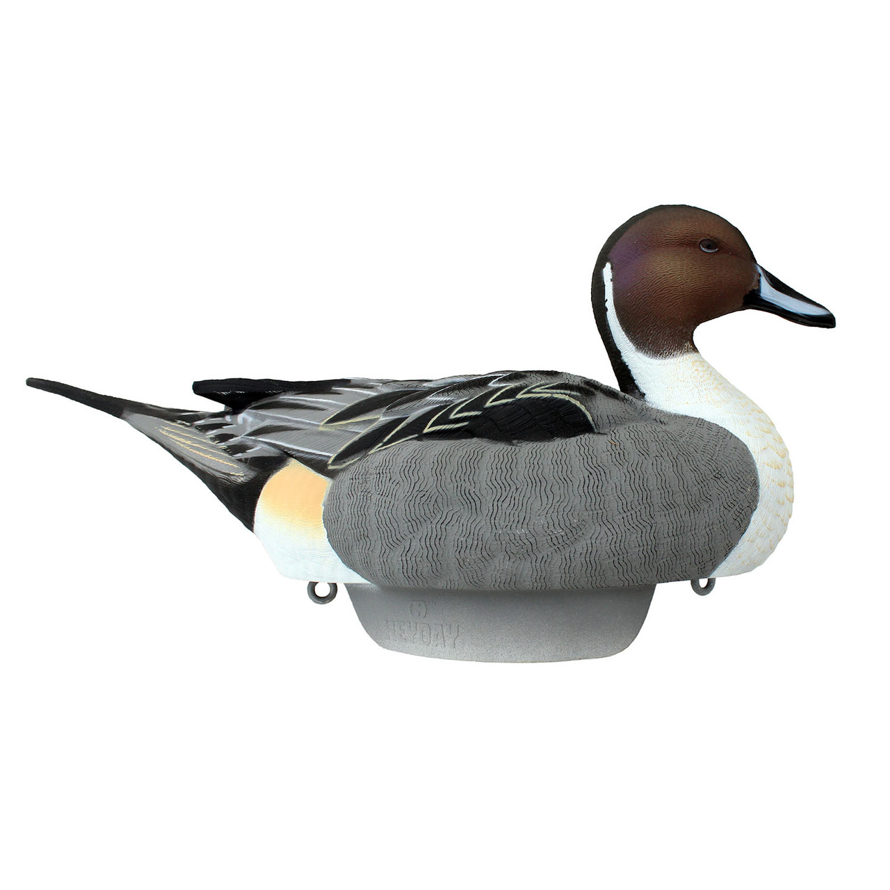 Heyday Outdoors HydroFoam Pintail Duck Decoys - Thumbnail 2