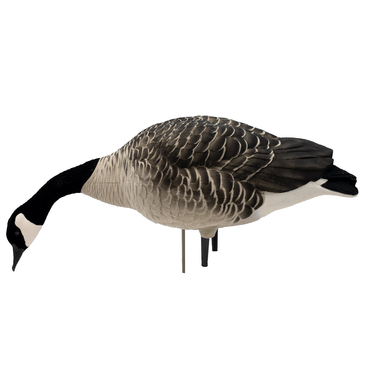 Avian-X AXF Fully Flocked Fusion Honkers | 6 Pack | Rogers