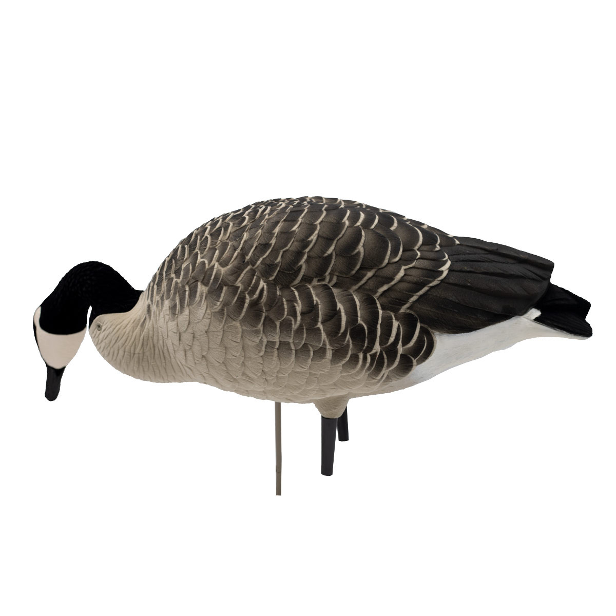 Avian-X AXF Fully Flocked Fusion Honkers | 6 Pack | Rogers