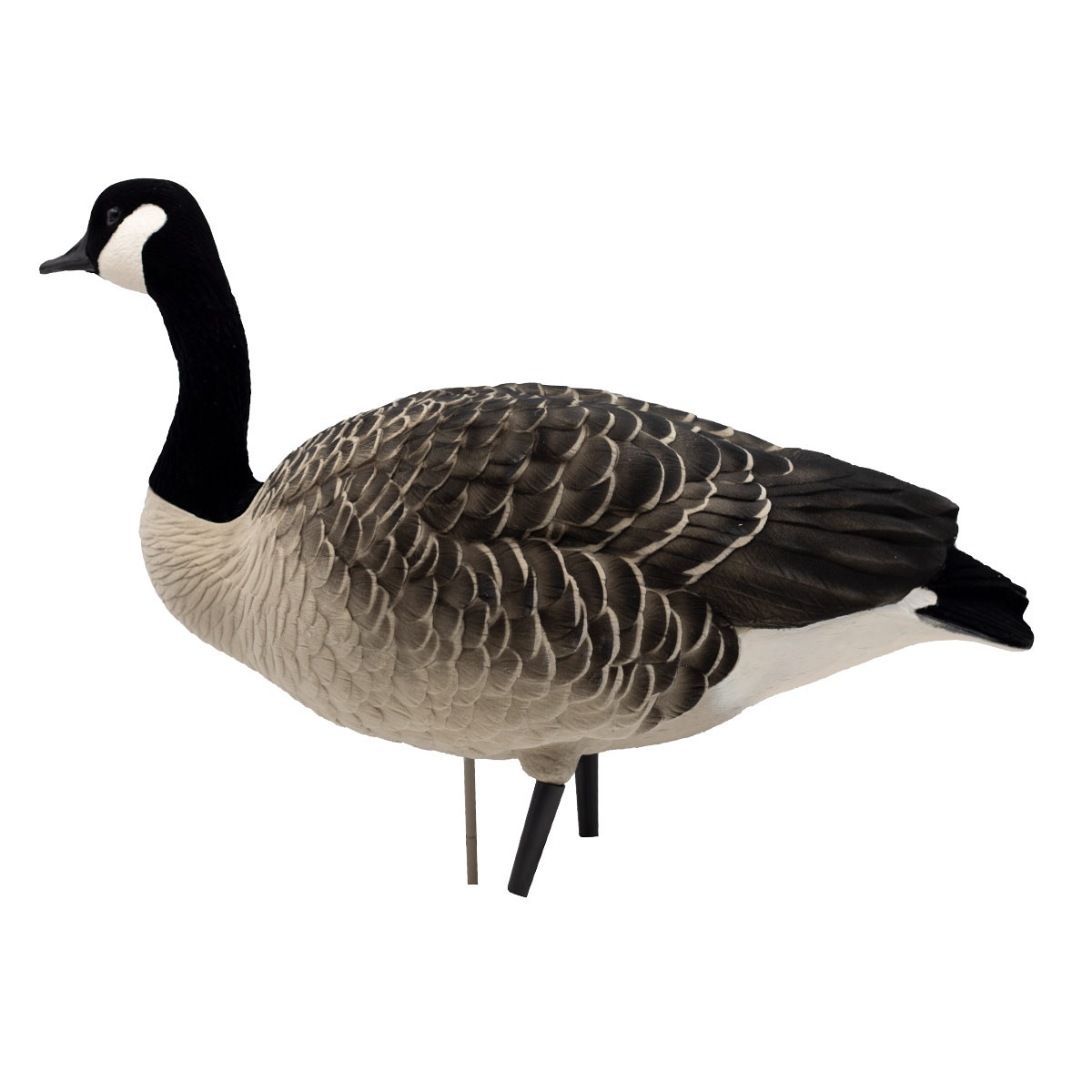 Avian-X AXF Fully Flocked Fusion Honkers | 6 Pack | Rogers