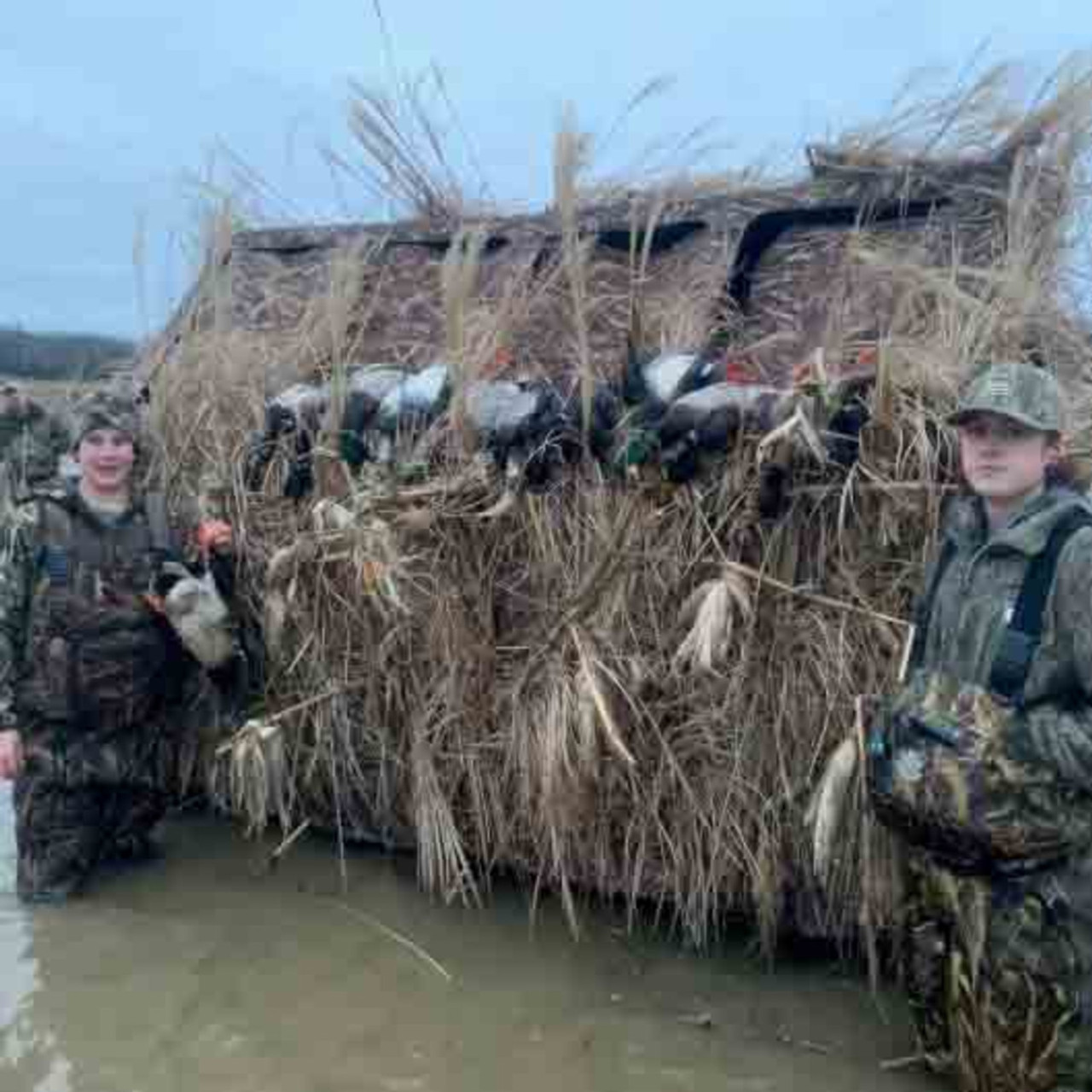 goose hunting blinds