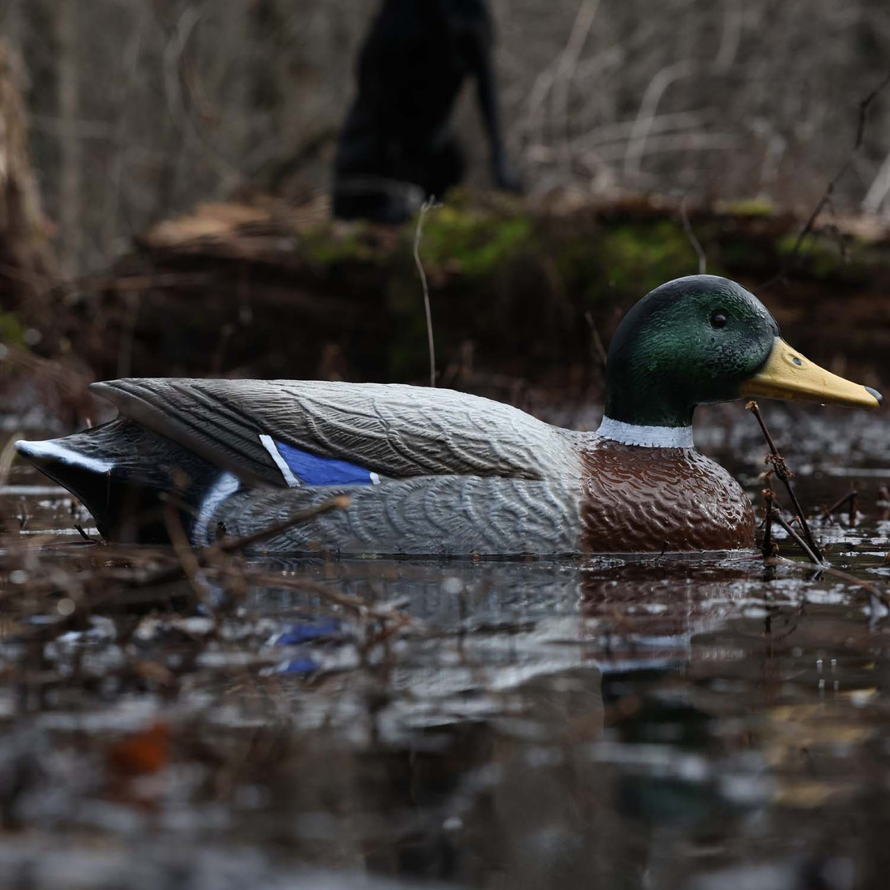 G&H Decoys Mallard Super Magnum Decoys with Stationary Heads, 6