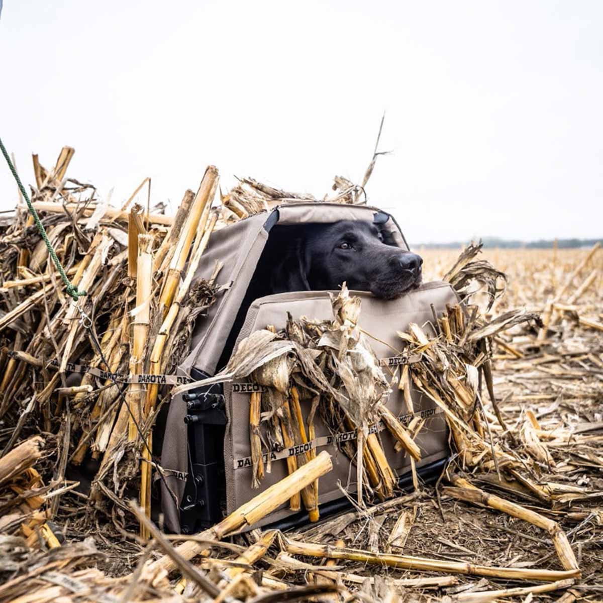 Dakota Decoys X-Series Collapsible/Spring Loaded Door Dog Blind