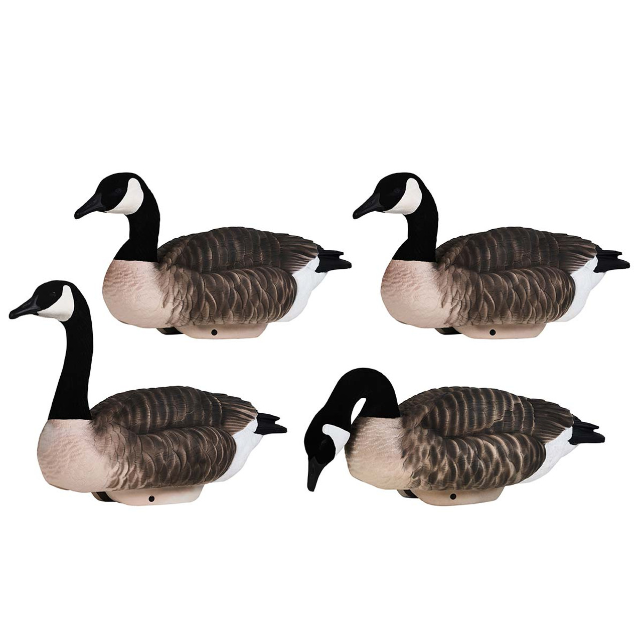 HydroFoam Canada Goose 4 Pack Decoys with Flocked Heads By Heyday