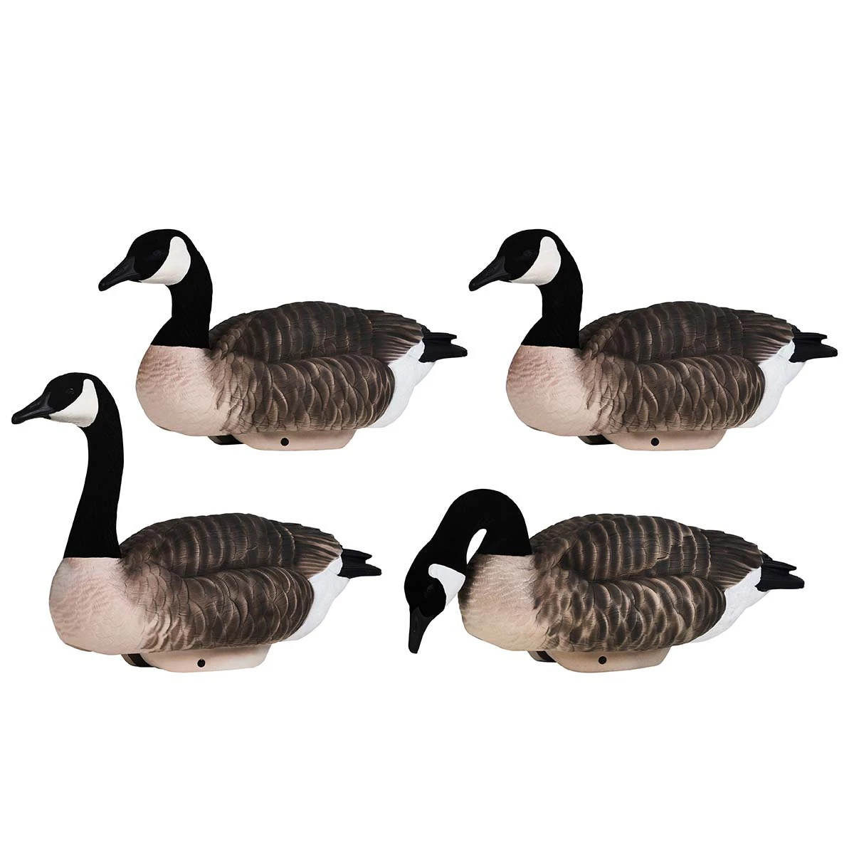 Heyday Outdoors HydroFoam Canada Goose Decoys with Flocked Heads | 4 ...