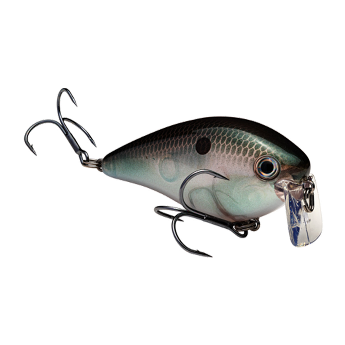 Strike King Kevin VanDam 2.5 Wake Bait | Rogers Sporting Goods