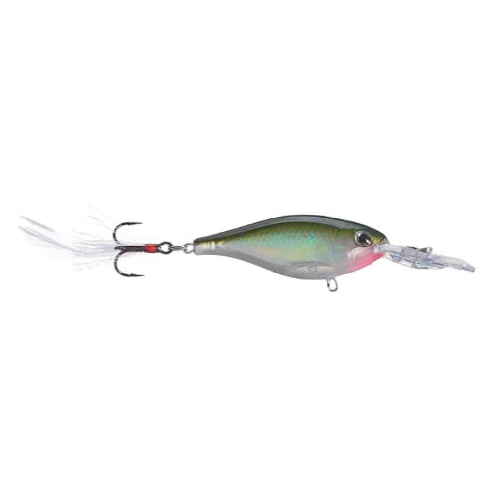 Rapala X-Rap Shad | Rogers Sporting Goods