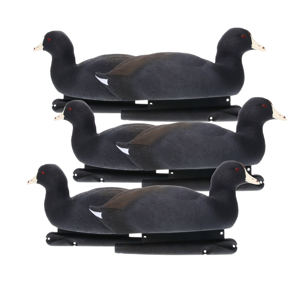 Avian-X Topflight Floating Coot Duck Decoys - 6 Pack | Rogers Sporting ...