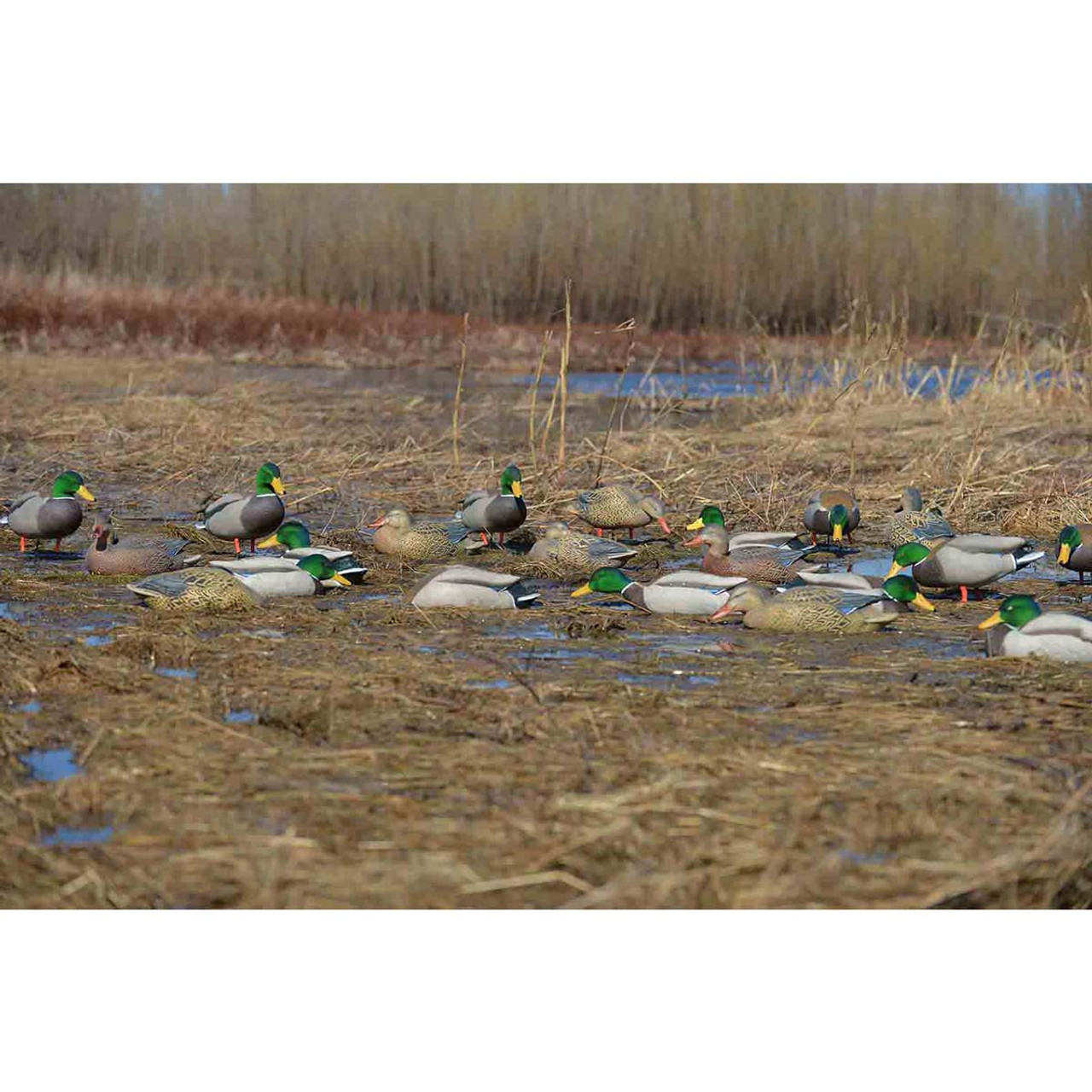 FFD Elite Flocking Kit – Banded