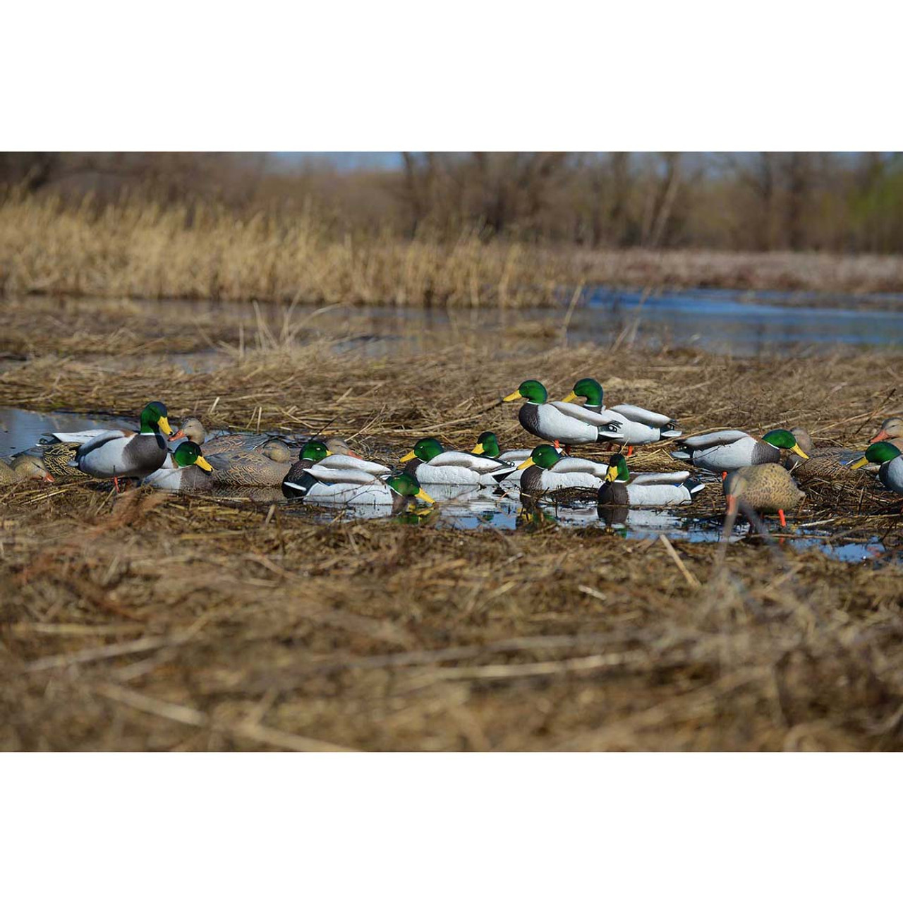 FFD Elite Flocking Kit – Banded