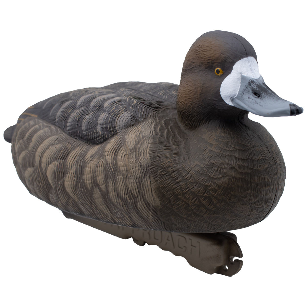 Final Approach Live Floating Bluebill Duck Decoys, 6 Pack | Rogers