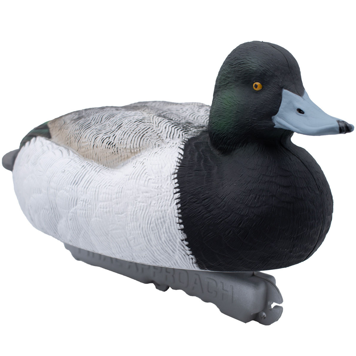 Final Approach Live Floating Bluebill Duck Decoys, 6 Pack | Rogers