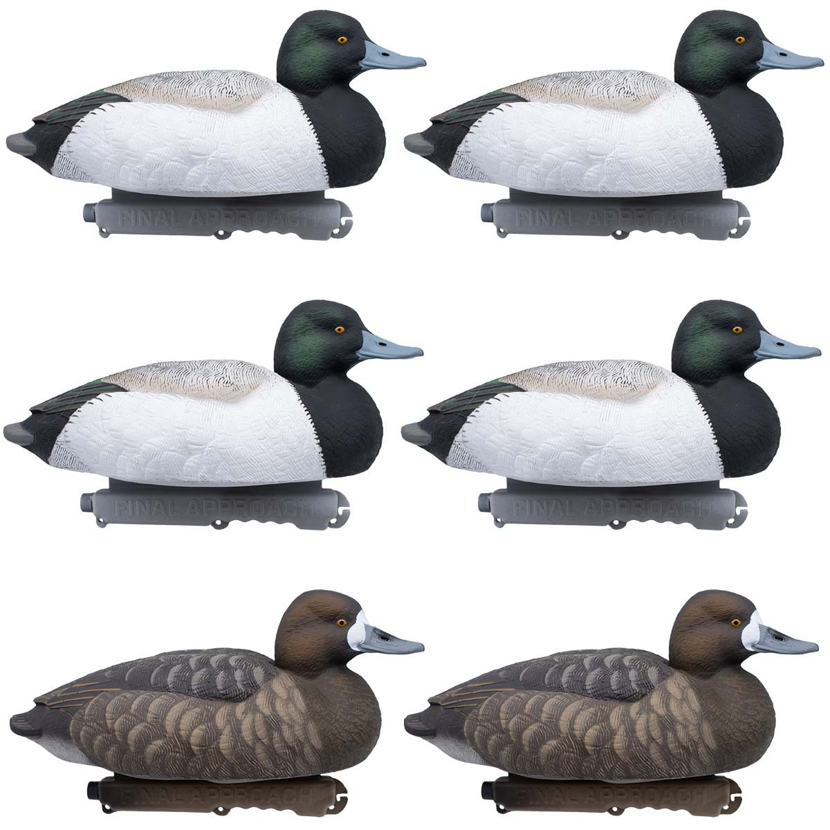 Final Approach Live Floating Bluebill Duck Decoys, 6 Pack | Rogers