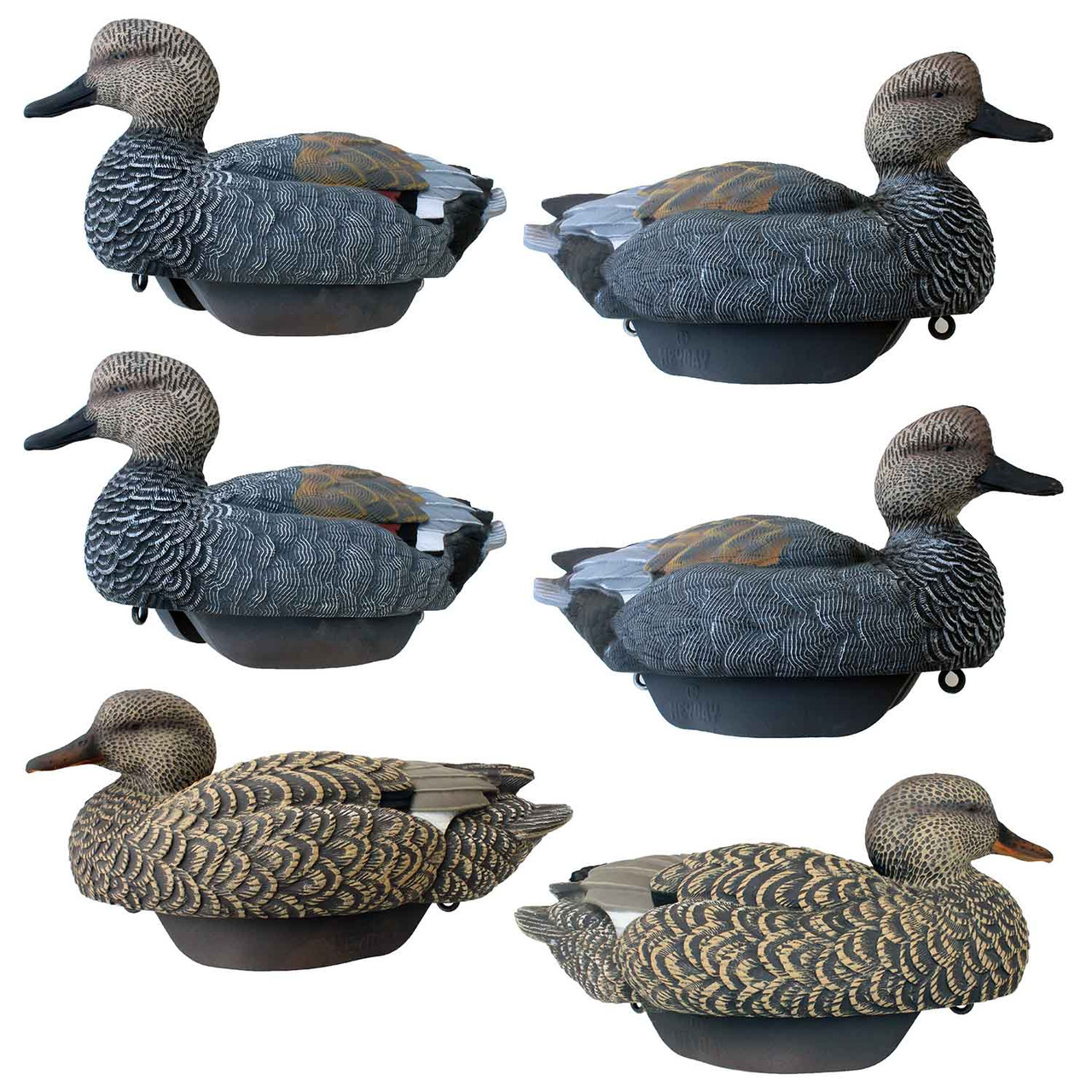 Heyday Outdoors HydroFoam Gadwall Duck Decoys - Thumbnail 5