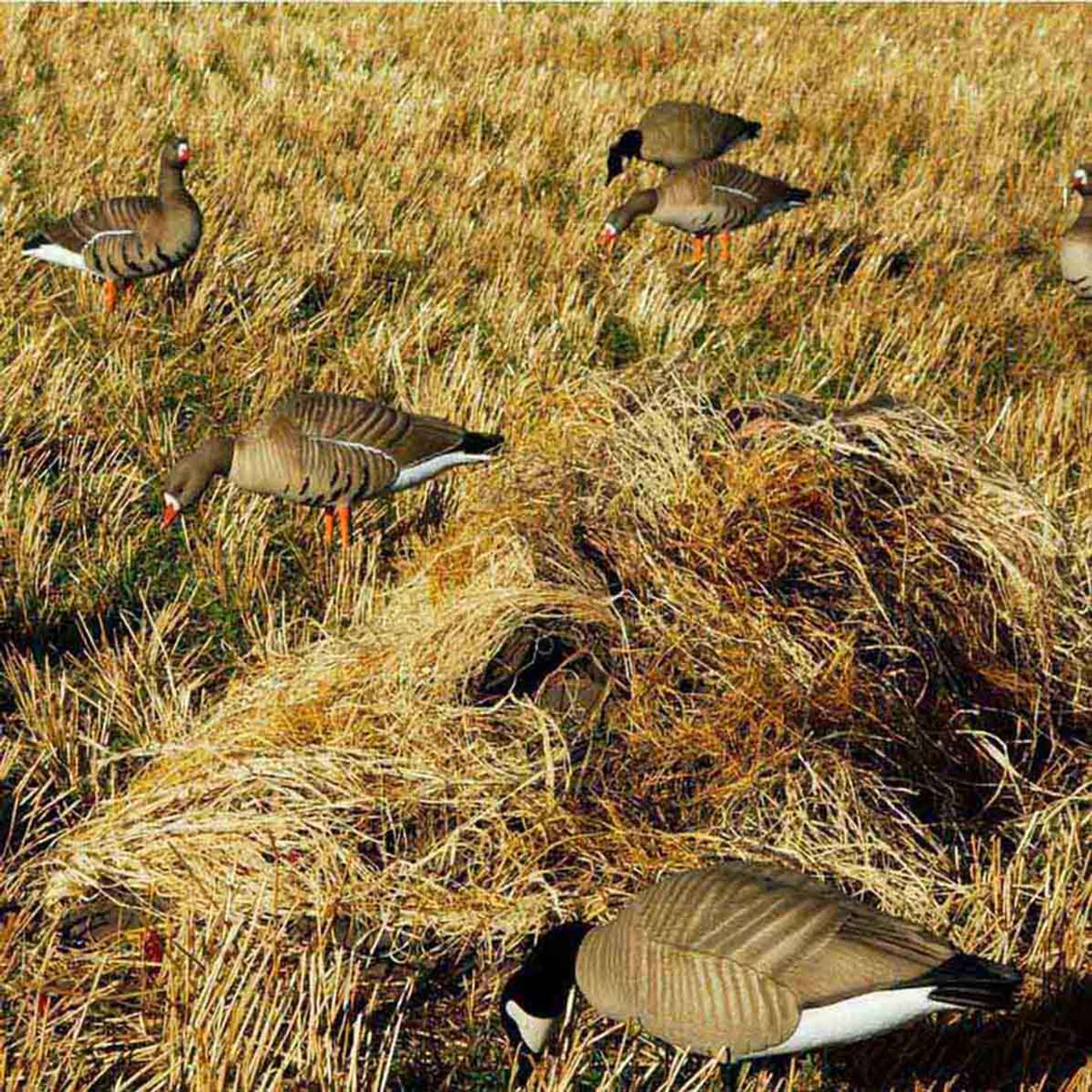 Avery Killer Weed Layout Blind Kit Faded Grass 47408 