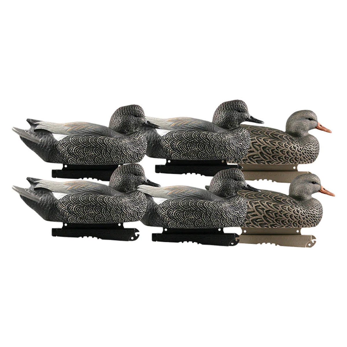 Hunter Series Life-Size Floating Gadwall Decoys