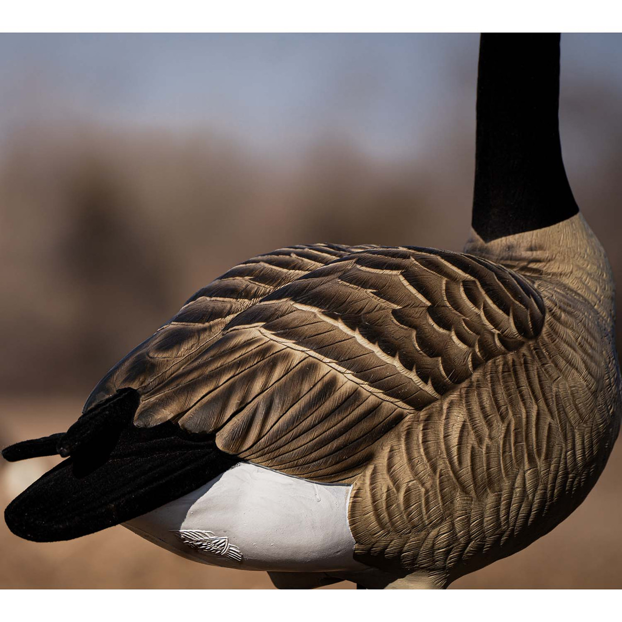 DOA Decoys Rogue Series Full Body Canada Goose Decoys | Rogers