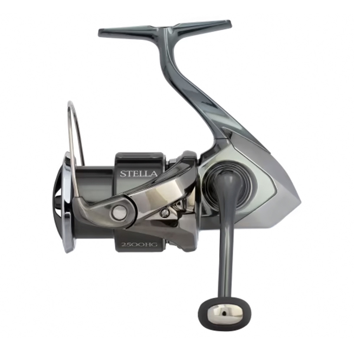 Shimano Stella Spinning Reel with Infinity Evolution | Rogers